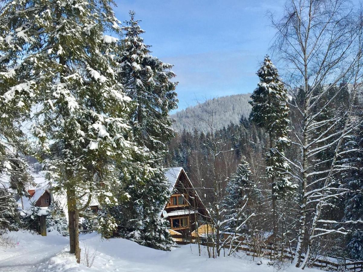 Winterfell Korbielow - Dom Z Basenem Sezonowym Lipiec-Sierpien Exterior foto